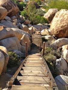 ladder in rocks looking down
