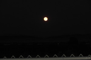 moon and fence